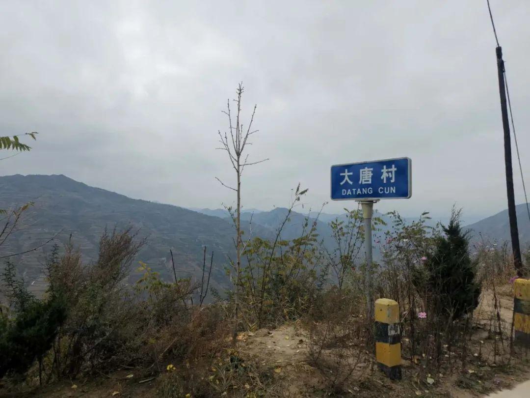 大唐村委会最新天气预报