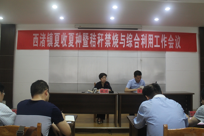 西渚镇最新招聘信息