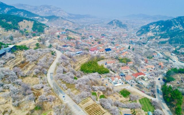 山西省晋中市左权县寒王乡最新天气预报