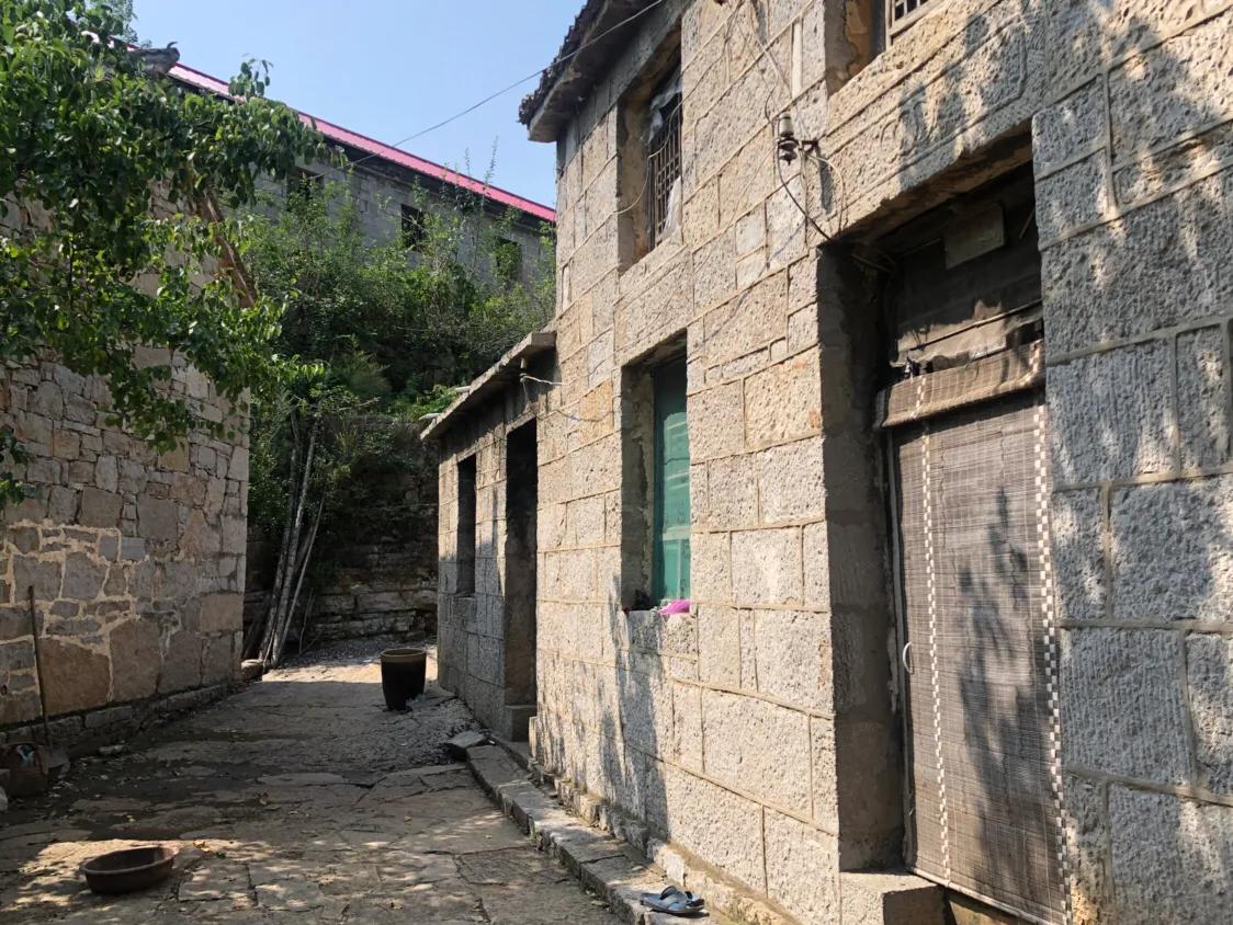 金山村最新新闻