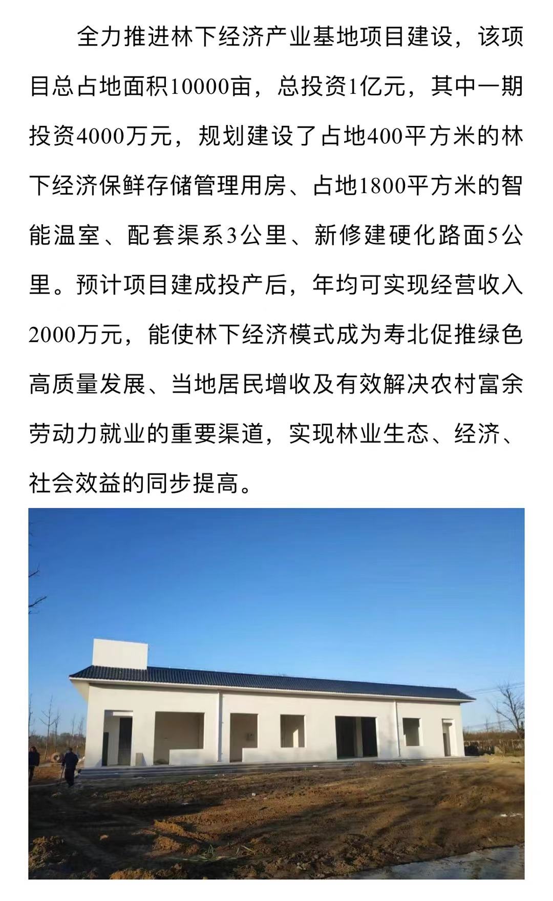 青林乡最新发展规划