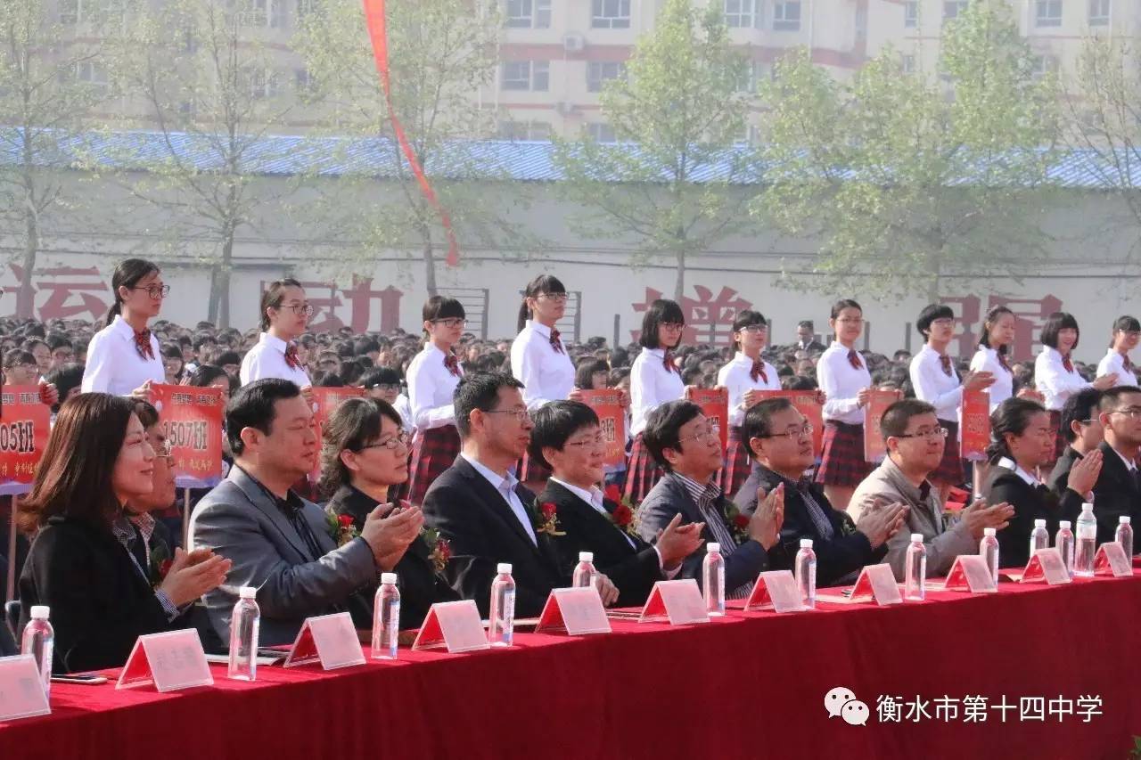 桃城区教育局最新招聘信息