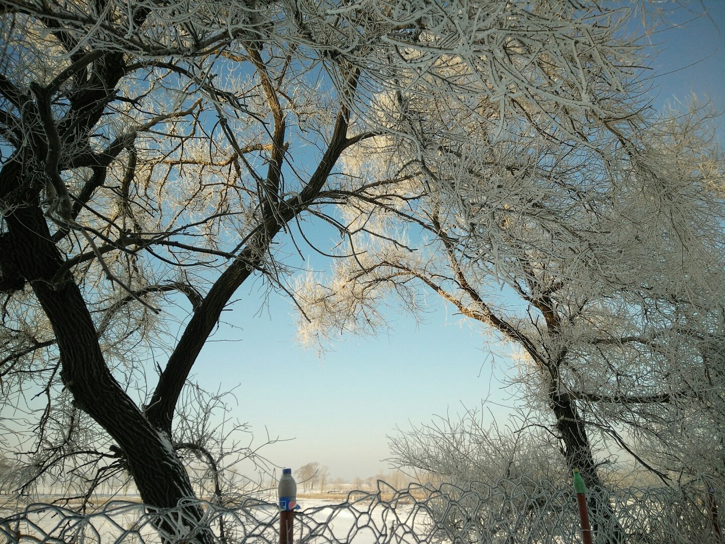 乌拉街镇最新天气预报