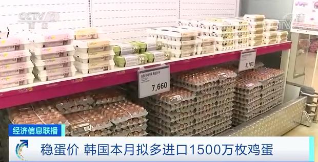 韩国禽流感最新动态,影响、应对与未来展望
