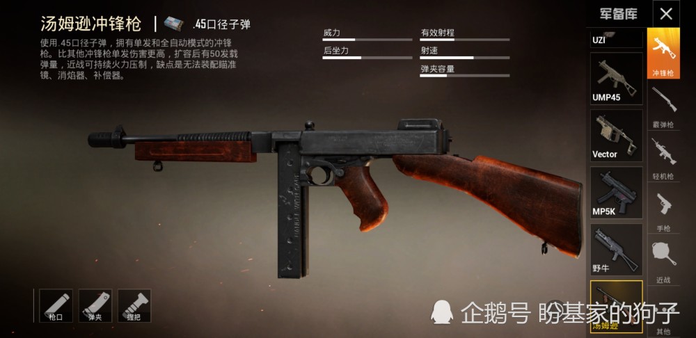 和平精英最新枪支揭秘，探索新武器的独特魅力与特点