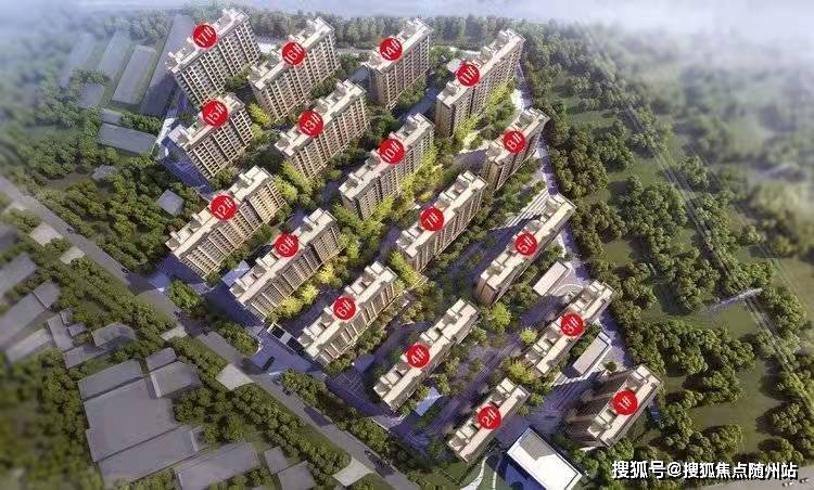 罗蕴最新动态,未来无限可能揭秘