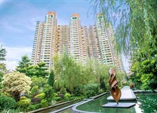 花都新楼盘房价动态与市场影响力分析