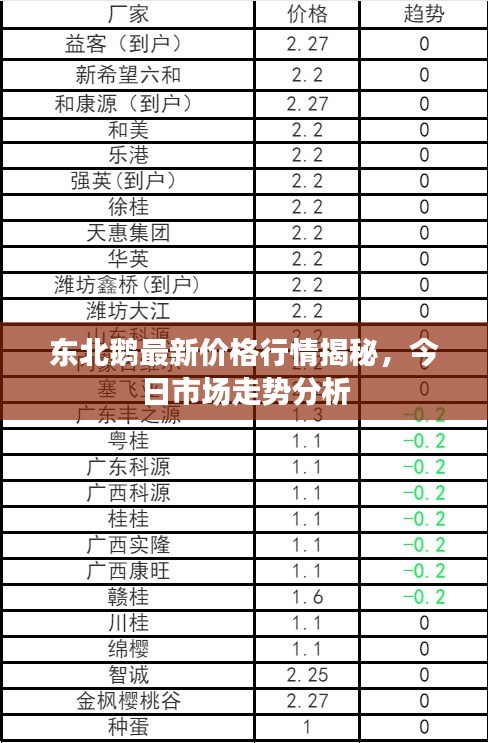 今日市场行情最新价格概览及分析