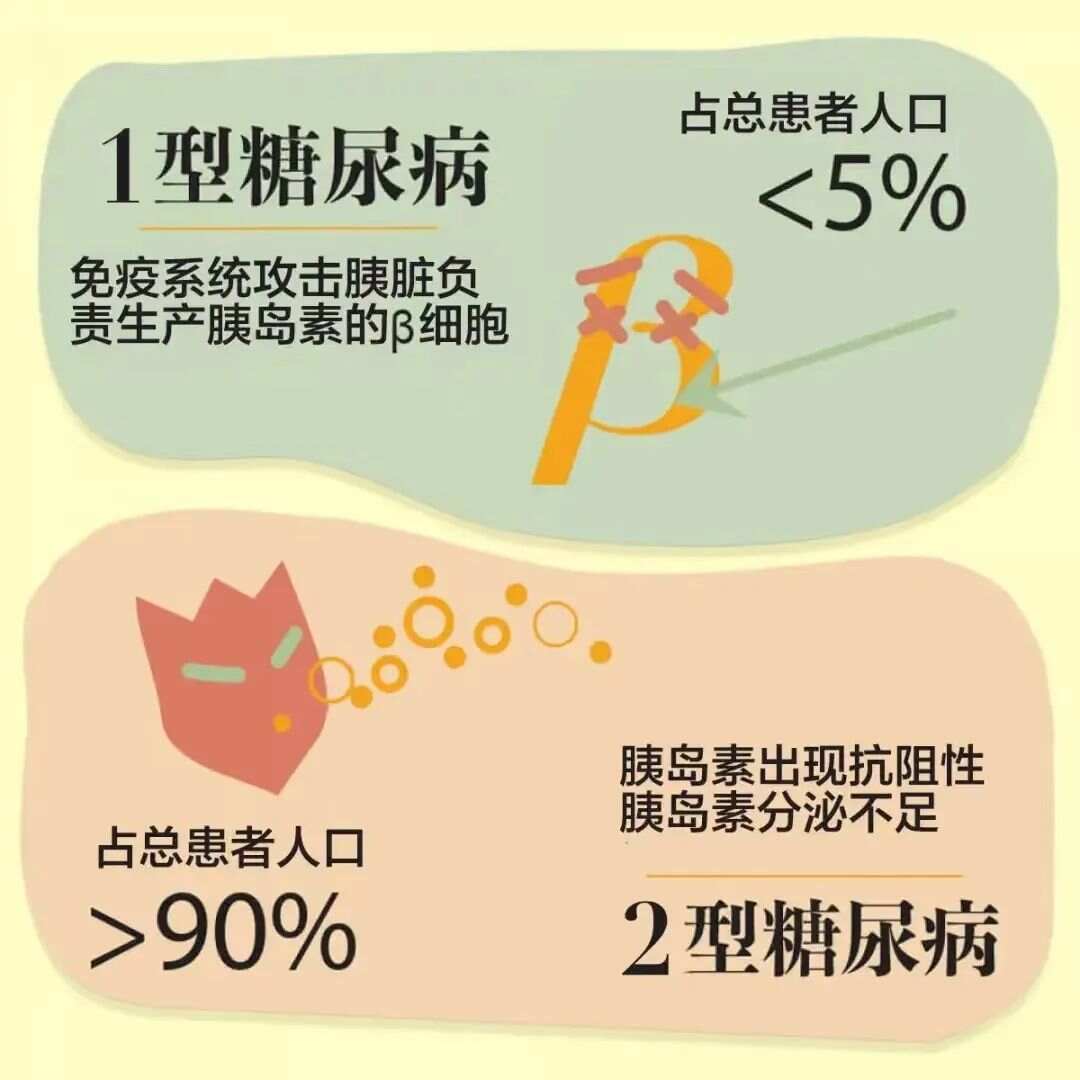 一型糖尿病最新研究与治疗进展综述