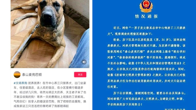 日照市禁养犬最新通知,深化管理,优化执行