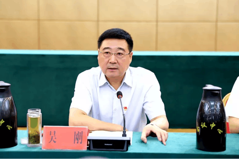 李少军最新动态,揭示未来无限潜能