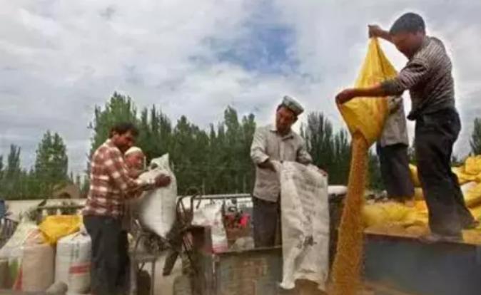 国家农民补贴政策最新动态，更新与实施进展