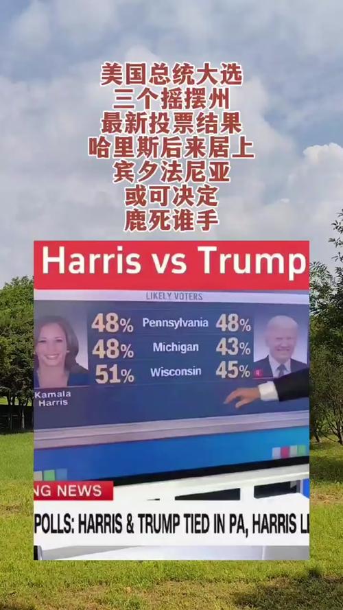 宾夕法尼亚州最新选情深度解析