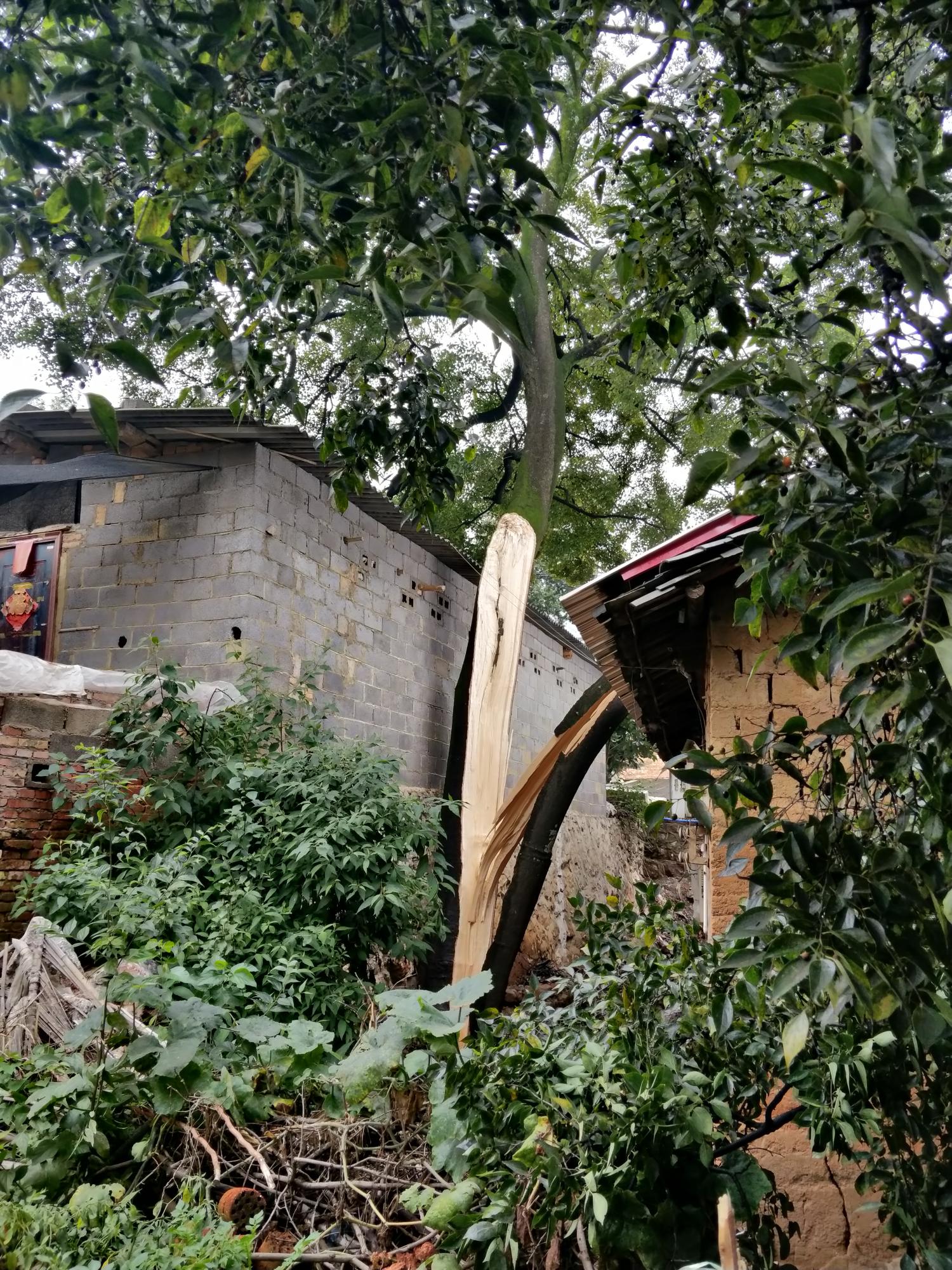 供电局最新停电通知，了解、准备与应对策略