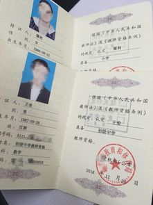 韬尧 第3页