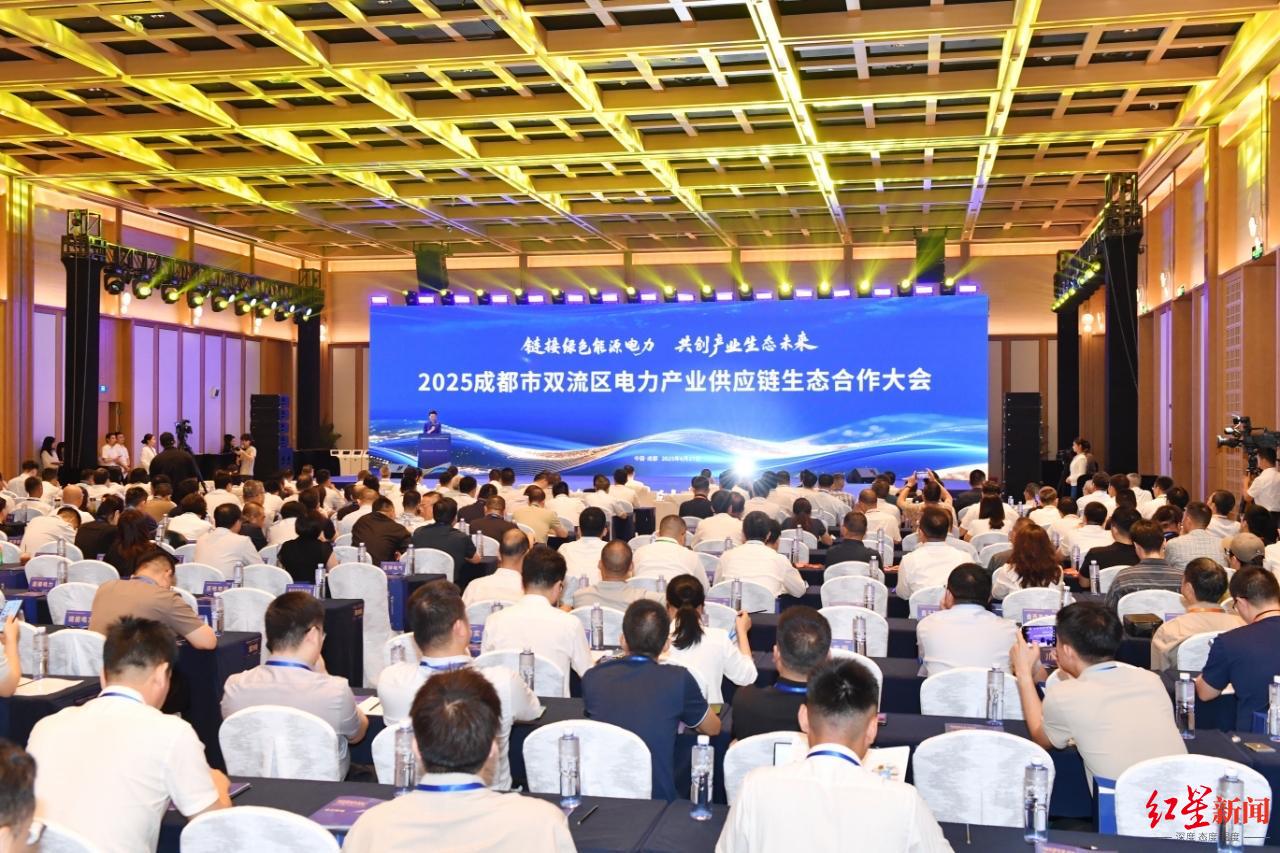 成都双流最新消息综述,新闻一览无余