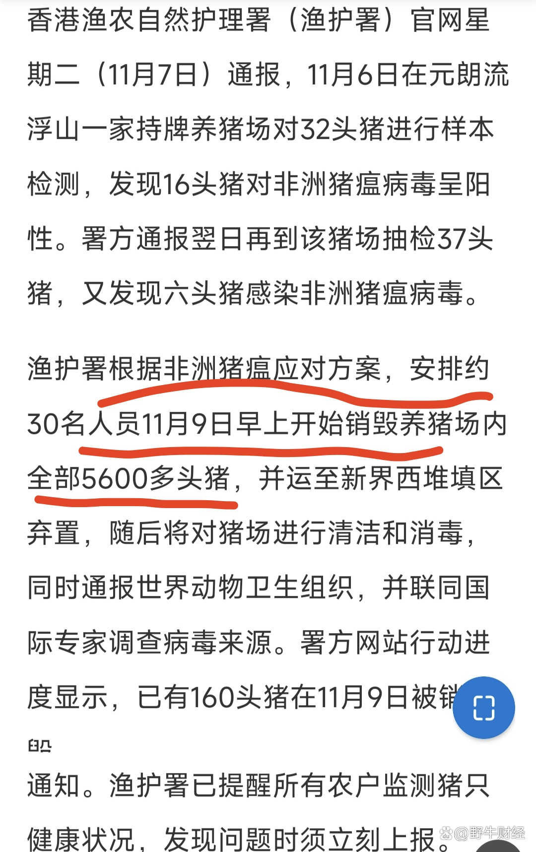 全球防控非瘟猪瘟,最新动态与应对策略