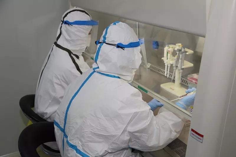 最新版新冠病毒,全球的挑战与应对策略