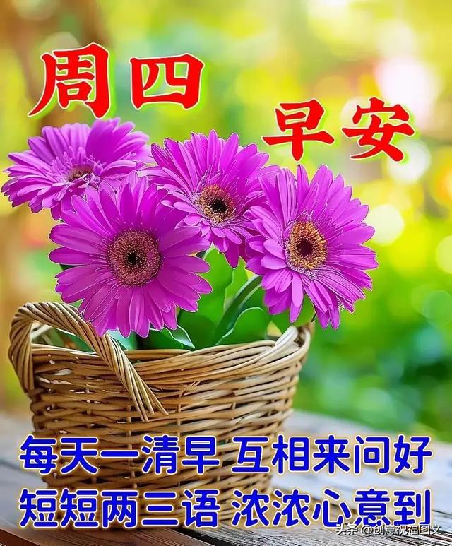 每日早上好图片,唤醒美好一天的视觉盛宴