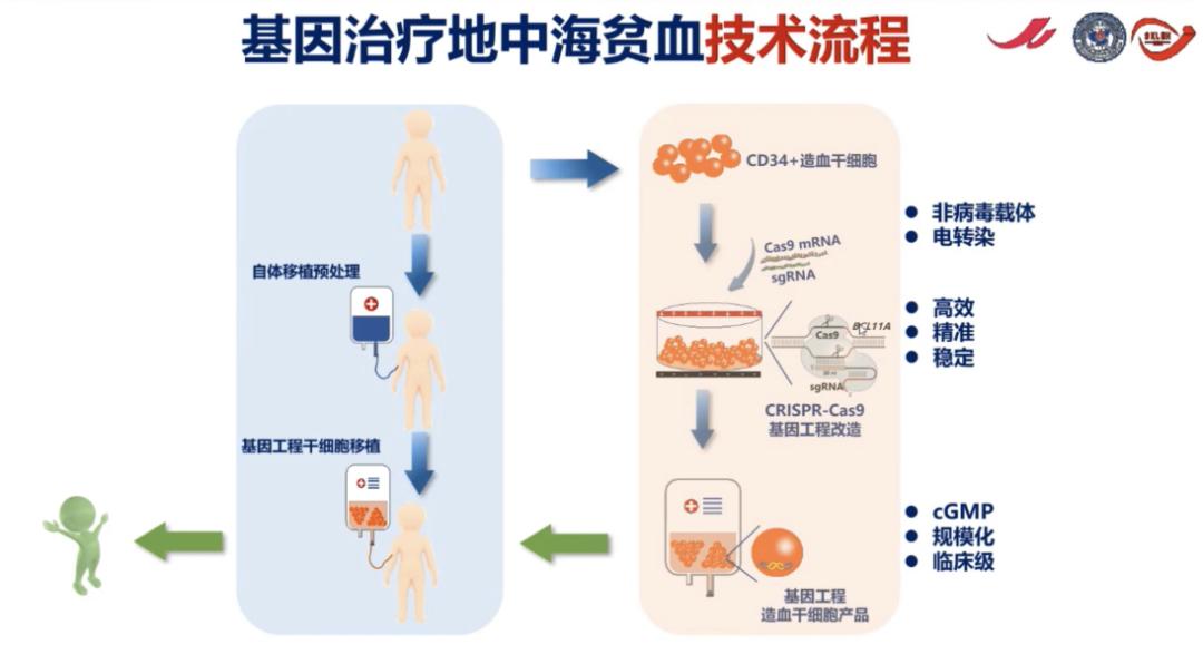 干细胞治疗前沿进展揭秘,最新研究成果与趋势分析