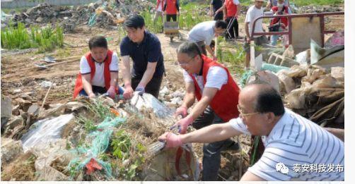 泰安文明城市展现魅力,文明之花绽放,城市新貌引人瞩目