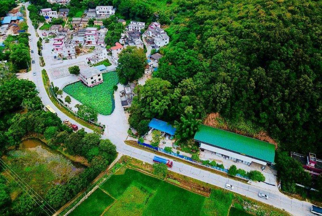 梧州恒大绿洲最新房价走势及动态分析