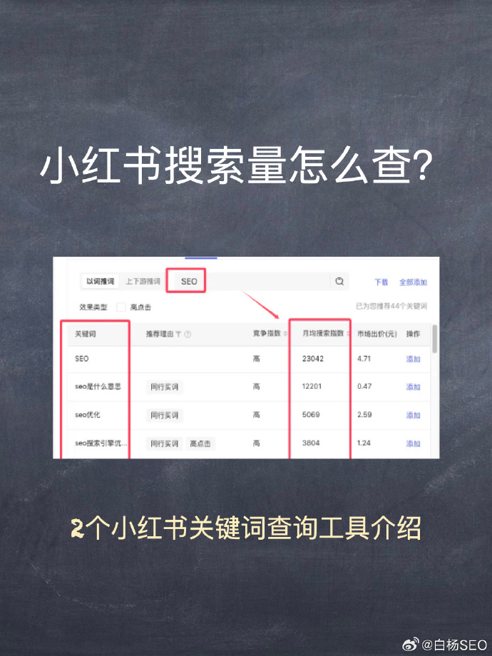 小红书关键词最新趋势解析报告