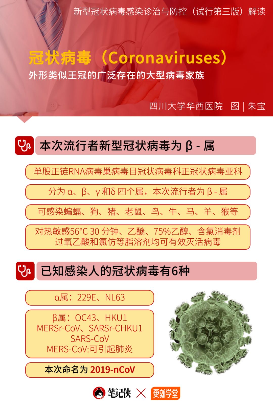 新观冠型病毒来源最新研究揭秘,源头、传播与变异分析