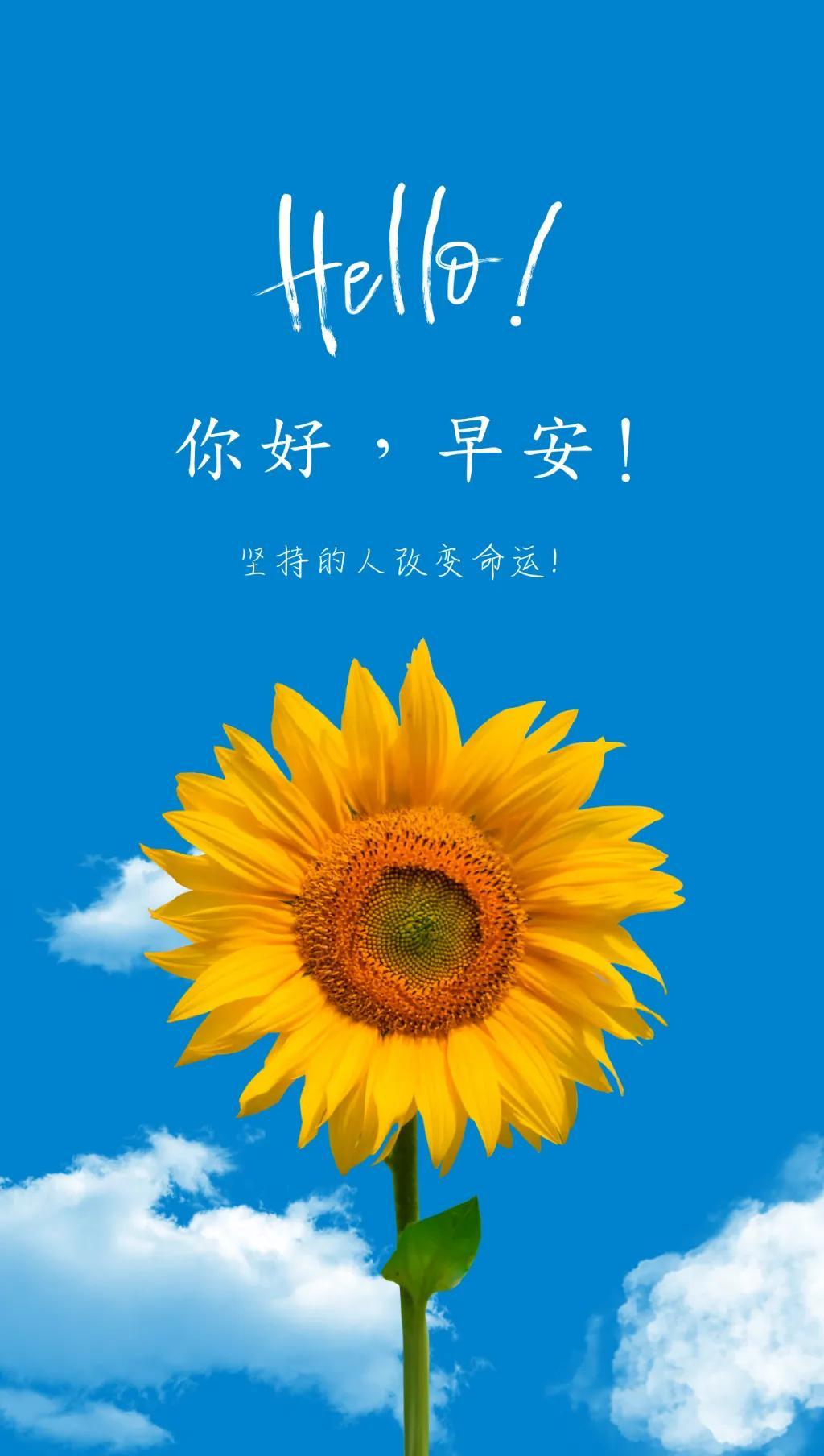 早上好,心语轻扬——迎接全新的一天挑战