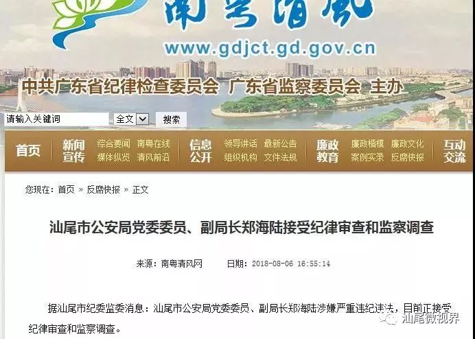 郑海田最新动态,揭示未来无限潜能
